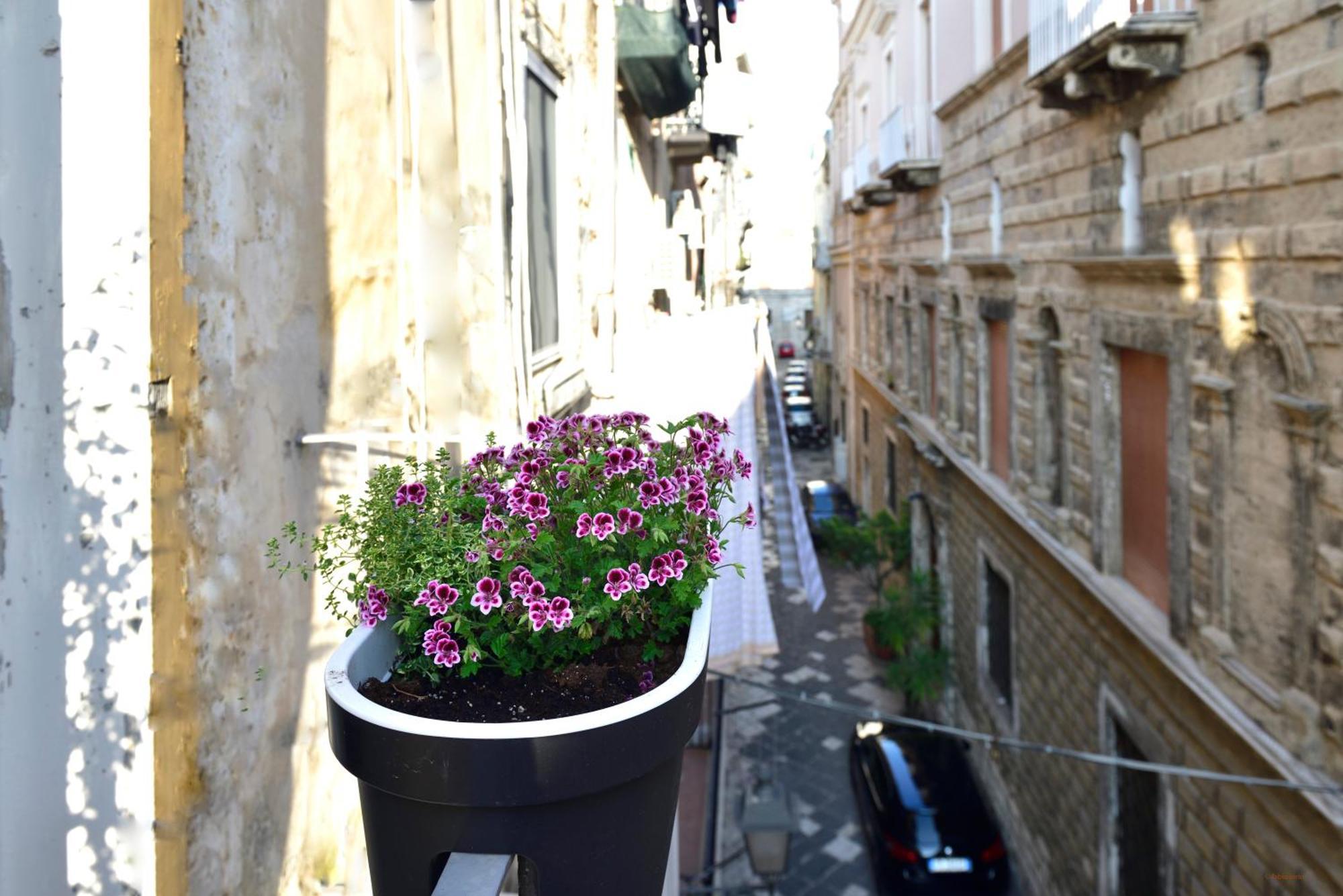 Ciaobari Apartment - Elegant 4 Bedrooms In The Heart Of Old Town 외부 사진
